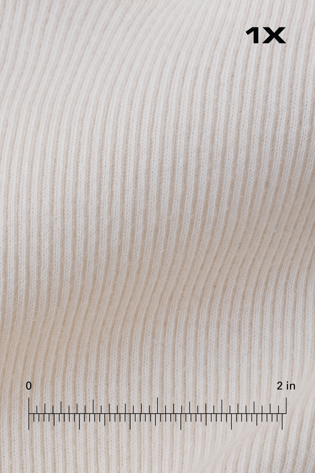'TO US' ESSENTIAL TANK (Creme)